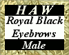 Royal Black Eyebrows - M