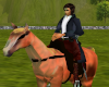 HorseMan NPC