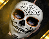 Catrina Norma Orange