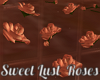 Sweet Lust Floor Roses