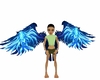 blue pheonix wings