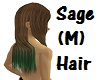 Sage Hair (M) [request]