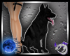 Hecate Black Guard Dog