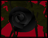 Black Rose vine