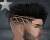 🔗Asteri Black  Hair