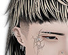 mullet