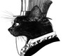 Black Cat/Top Hat