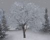 ND| Winter Tree