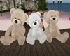 Y*Teddy Bears Set