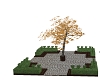 Memorial garden tree