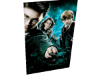 Cutout Harry Potter 1