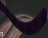 Cheshy Cat Purple Tail