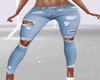 Low Rise Ripped Jeans V1