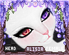 ⟡ Kitterin Head 2T