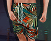 Summer Shorts