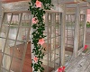 !S! Hanging Pink Roses