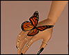 Butterfly Monarch Hand