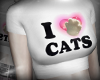 i <3 cats
