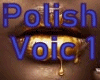 Pocussa Polish Voic 1
