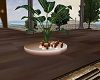 "sav"island plant&candle