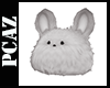 𝕮 Bunny 2