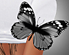 Arm Butterfly Grey
