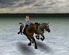 Animated Horse Riding