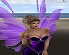 Sofia Purple Fairy Wings