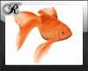 Anim Swimming Goldfish