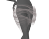 form