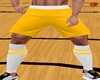 ! SPORT SHORTS W/SOX