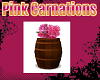 Barrel Pink Carnations