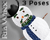 Bearded Snowman w/Poses