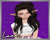 *L* Attwood Cocoa
