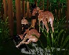 Deer animation