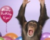 Birthday Monkey Frame