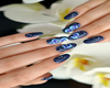 Blue Flower Nails