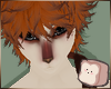 ⊹ Fern Nagi