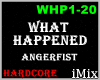 HC - What Happened