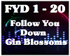 Follow You Down-Gin Blos