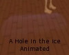 Hole in the ice