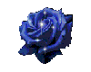 Blue Sparkling Rose