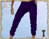 ![T] Capris Royal Purple