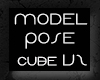 Model Pose Cube V2