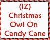 Owl Santa On Candy Cane