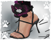 Shoes CoqueliPink