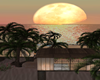 Coco islet Sunset