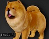 Animated Chow Chow