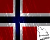 (WW)NorwayFlagHoodyM