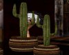 cactus wooden tub